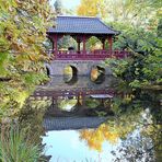 Herbst im japanischen Garten Leverkusen 1