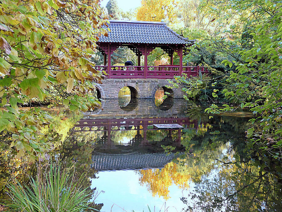 Herbst im japanischen Garten Leverkusen 1