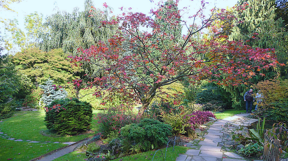 Herbst im japanischen Garten Leverkusen 2