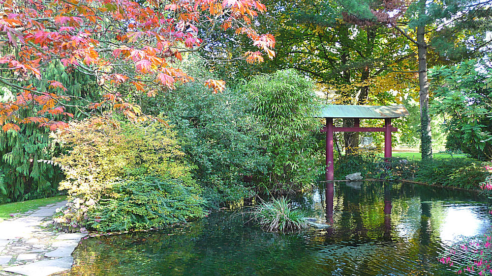 Herbst im japanischen Garten Leverkusen 3