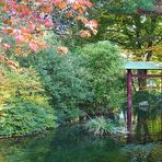 Herbst im japanischen Garten Leverkusen 3