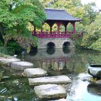 Herbst im japanischen Garten Leverkusen 4