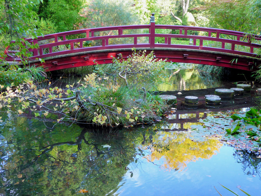 Herbst im japanischen Garten Leverkusen 5