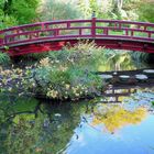 Herbst im japanischen Garten Leverkusen 5