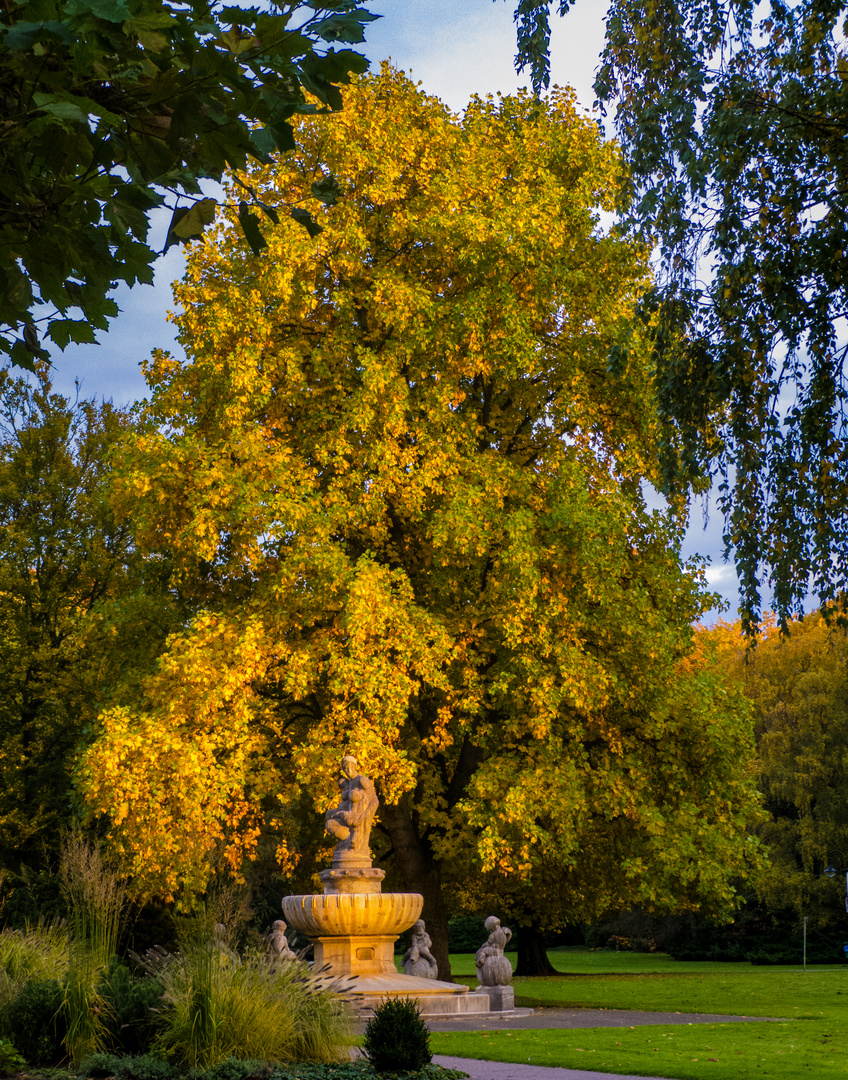 Herbst im japanischen Garten Leverkusen