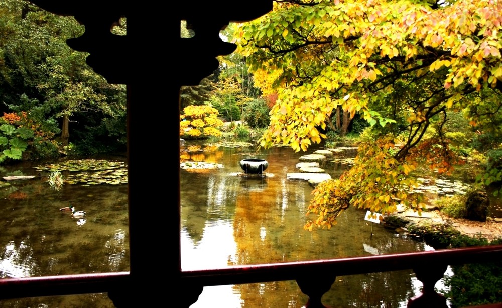 Herbst im Japanischen GartenIV