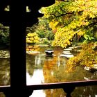 Herbst im Japanischen GartenIV