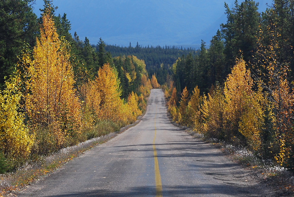 Herbst im Jasper N.P.