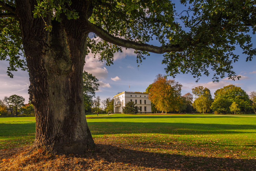 Herbst im Jenisch Park | Jenisch Haus