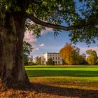 Herbst im Jenisch Park | Jenisch Haus