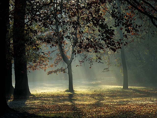 Herbst im Jenischpark