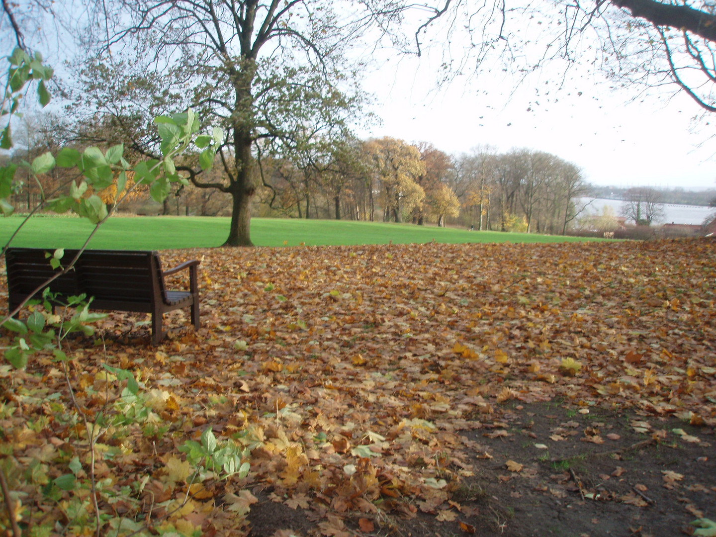 Herbst im Jenischpark