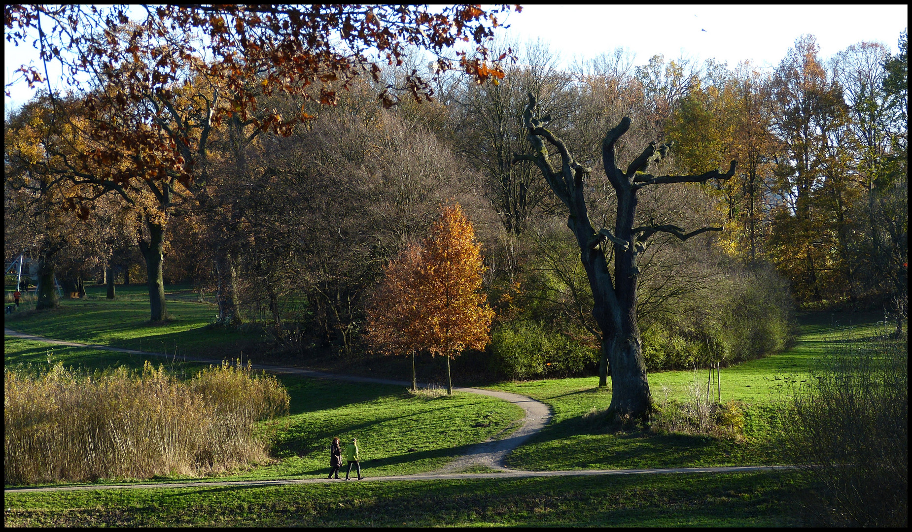 Herbst im Jenischpark