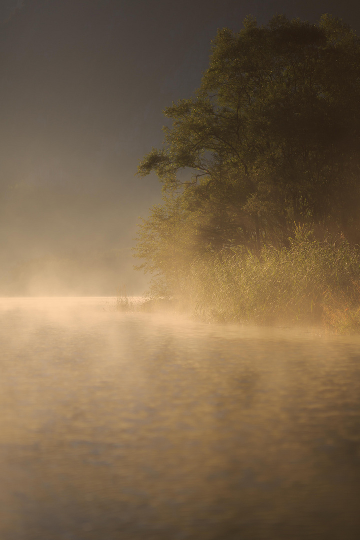 Herbst im Juli