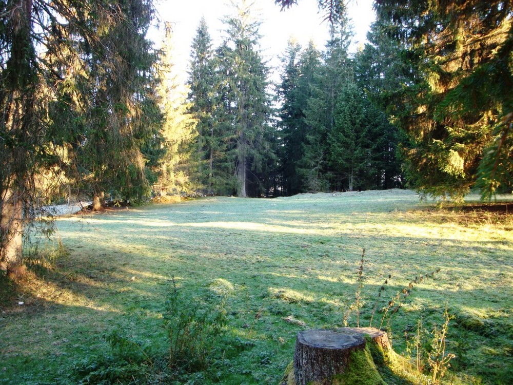 Herbst im Jura