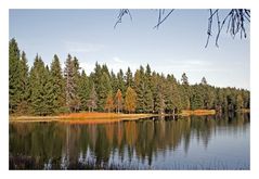 Herbst im Jura