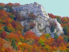 Herbst im Jura