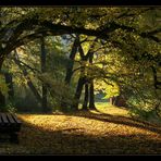 Herbst im Kaarzer Schlosspark