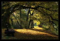 Herbst im Kaarzer Schlosspark