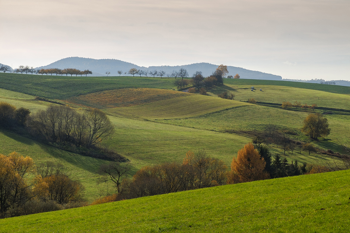 Herbst im Kahlgrund