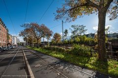 Herbst im Kaiser-Wilhelm-Ring - Mainz (II)