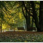 Herbst im Kaisergarten (10)