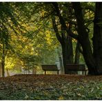 Herbst im Kaisergarten (10)