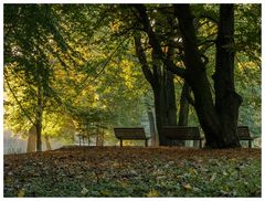Herbst im Kaisergarten (10)