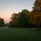 Herbst im Kaisergarten (11)