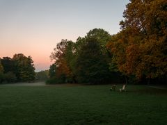 Herbst im Kaisergarten (11)