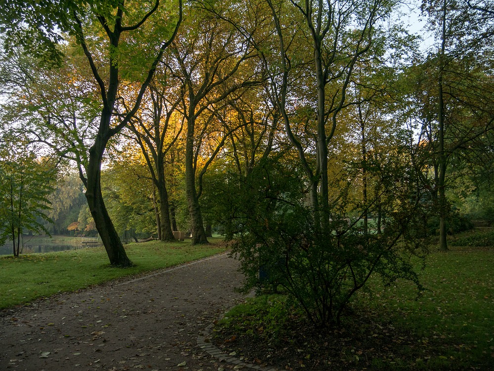 Herbst im Kaisergarten (12)