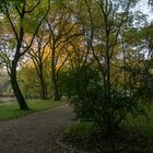 Herbst im Kaisergarten (12)