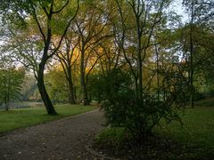 Herbst im Kaisergarten (12)