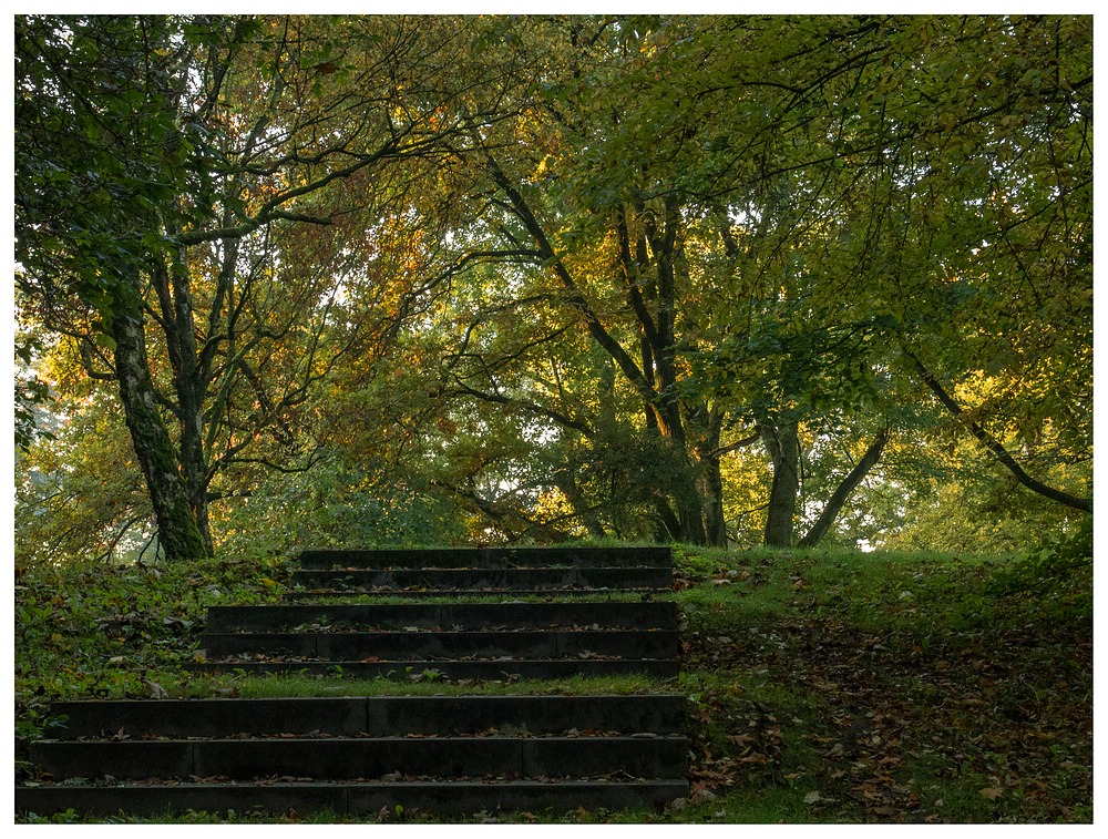 Herbst im Kaisergarten (14)