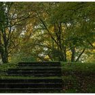 Herbst im Kaisergarten (14)