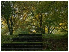 Herbst im Kaisergarten (14)