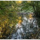 Herbst im Kaisergarten (15)