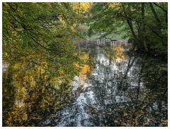 Herbst im Kaisergarten (15)