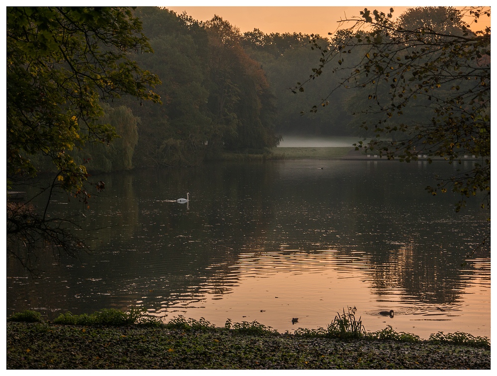 Herbst im Kaisergarten (16)