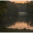 Herbst im Kaisergarten (16)