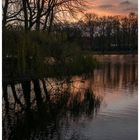 Herbst im Kaisergarten (17)