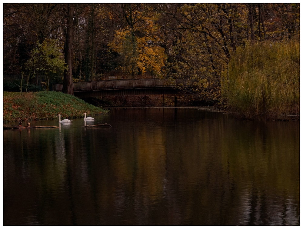 Herbst im Kaisergarten (18)