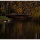 Herbst im Kaisergarten (18)