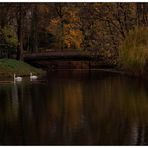 Herbst im Kaisergarten (18)