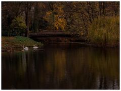 Herbst im Kaisergarten (18)