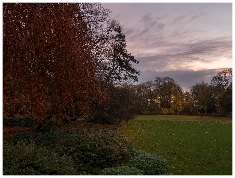 Herbst im Kaisergarten (19)