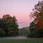 Herbst im Kaisergarten (2)