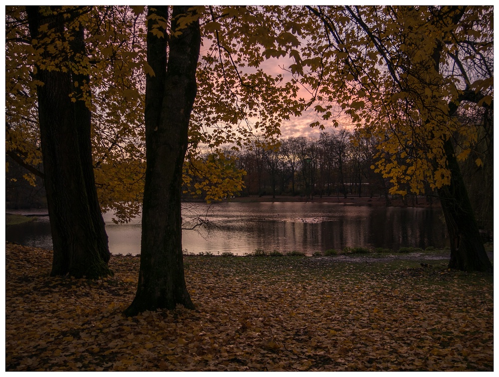 Herbst im Kaisergarten (20)