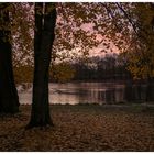 Herbst im Kaisergarten (20)