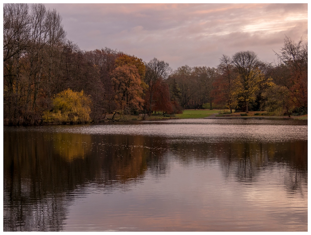 Herbst im Kaisergarten (21)